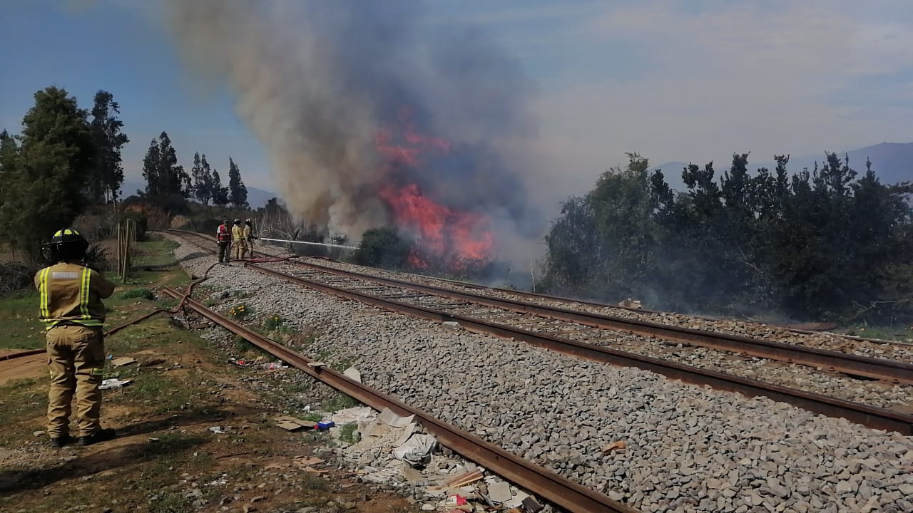 [FOTOS] Incendio forestal afecta al sector de Manzanar en Quillota
