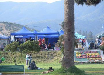 feria navidad quillota