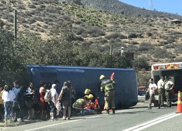 la dormida olmue accidente