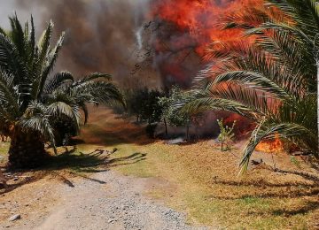 incendio pachacamita