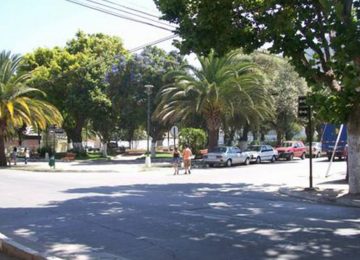 hijuelas aniversario