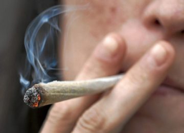 marihuana la ligua vocal