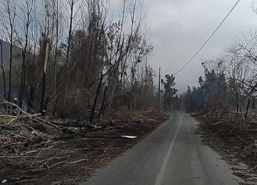 bosque pachacama incendio