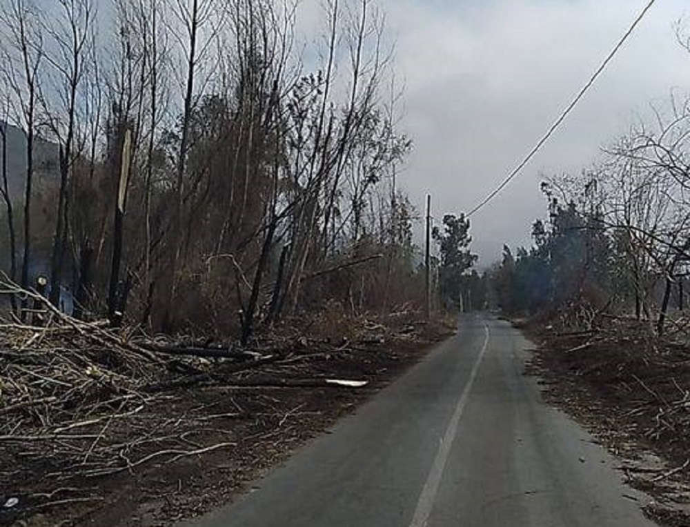 bosque pachacama incendio