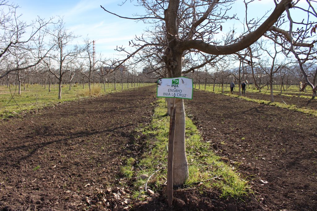 cultivos orgánicos INIA La Cruz