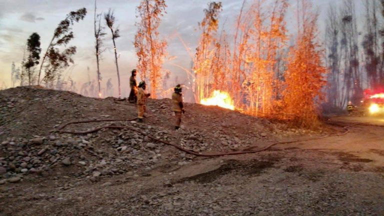 incendio pachacama