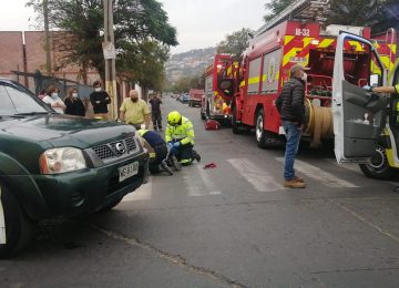 atropello Quillota
