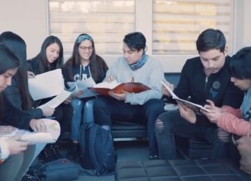 educación superior en la constitución