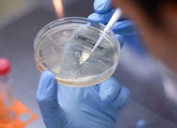 variante delta chile