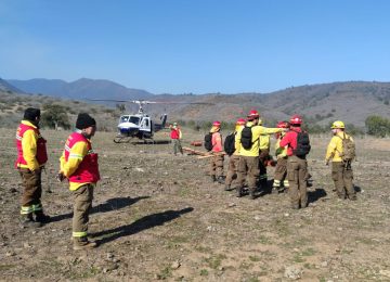 Incendio forestal la ligua