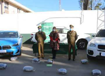 incautan drogas en petorca