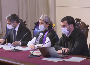 convencion constitucional en vivo