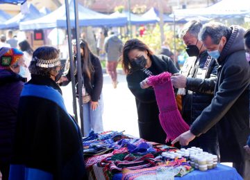 feria indigena quillota