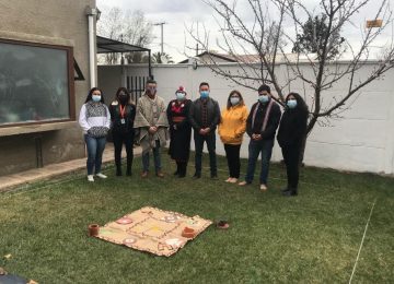 craneo humano quillota