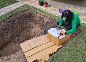 craneo humano piscina quillota