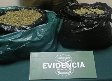 marihuana petorca