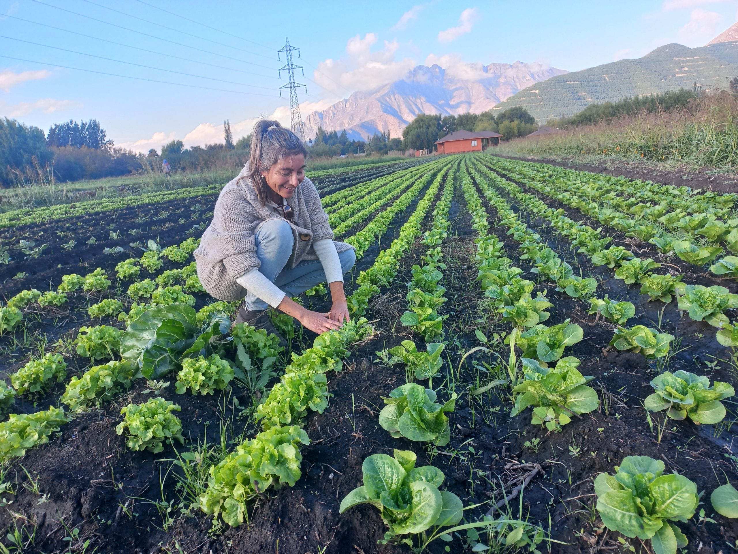 agroecología Leslie vergara panquehue