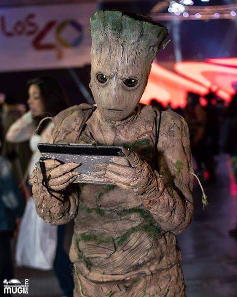 Trajes de Cosplay Groot Elisabet Viña del Mar