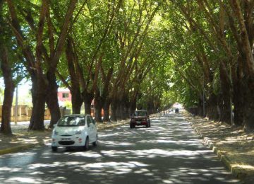 declaratoria de monumento nacional Avenida Urmeneta de Limache
