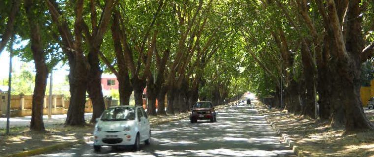 declaratoria de monumento nacional Avenida Urmeneta de Limache