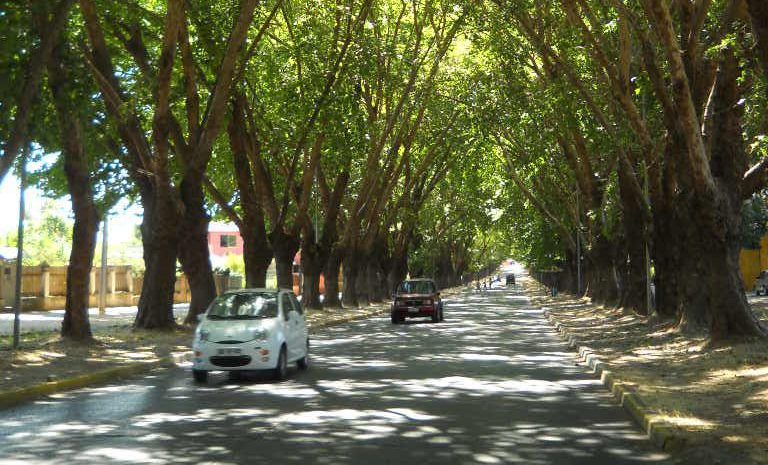 declaratoria de monumento nacional Avenida Urmeneta de Limache