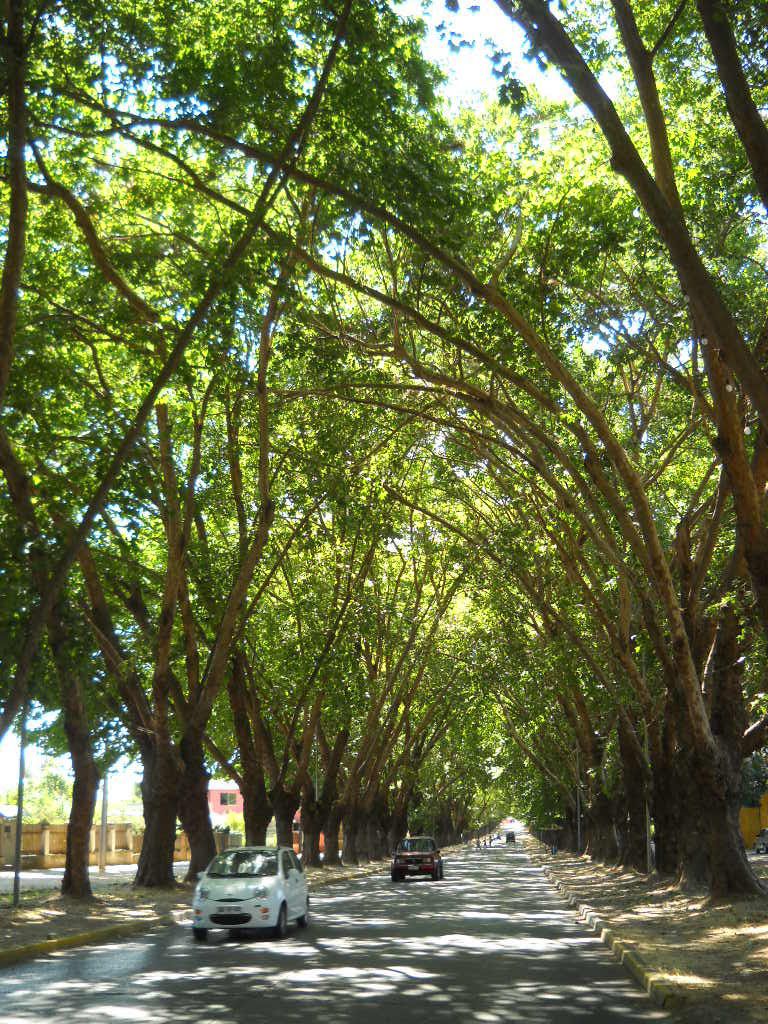 día de los patrimonios avenida urmeneta Limache