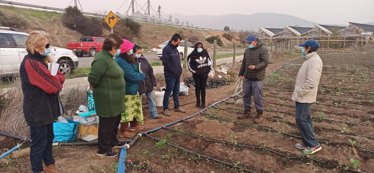 taller riego san pedro colbún