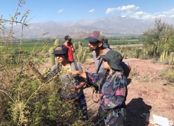 Fundación Lepe es distinguida por el Municipio de San Felipe