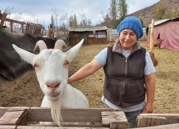 quesos de cabra felices