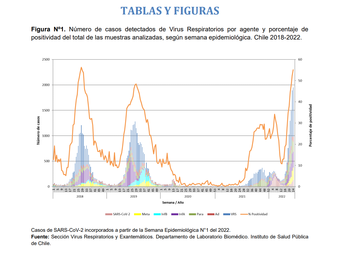 virus de invierno gráfico de coronavirus