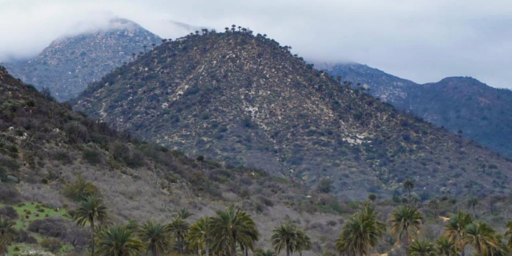 Abren sectores de Cajón Grande y Palmas de Ocoa del Parque Nacional La Campana