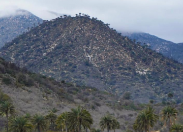 Abren sectores de Cajón Grande y Palmas de Ocoa del Parque Nacional La Campana