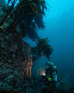 Fotografía de la Escuela de Buceo Nómade de La Ligua