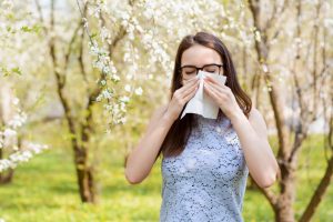 Probabilidades de heredar la alergia 