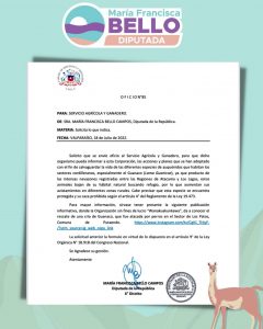 Diputada María Francisca Bello envía oficio a SAG por ataques de perros a guanacos en el Aconcagua.