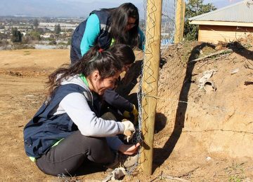 voluntariado de invierno santo mtomás viña del mar