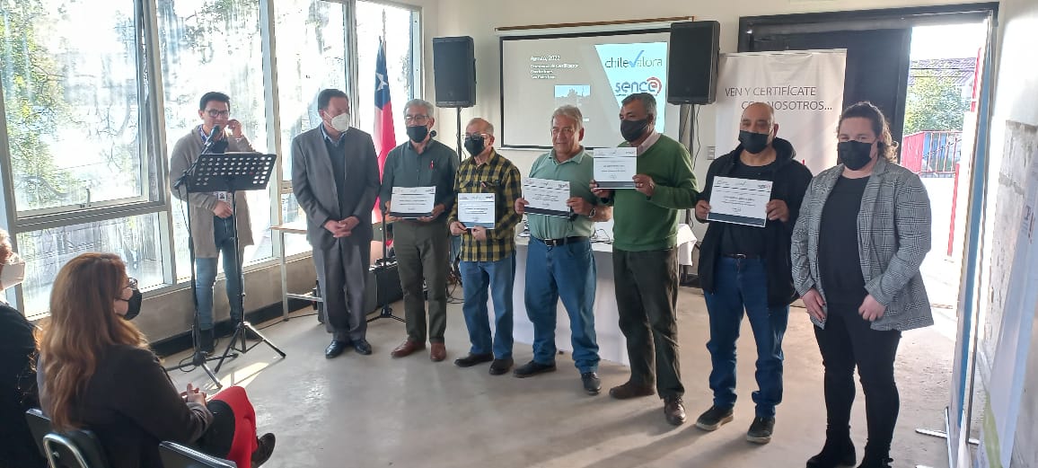 72 conductores de taxis colectivos de Quilpué obtienen certificación laboral