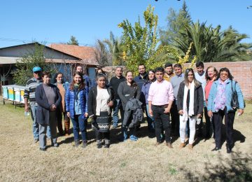 Apicultura comunitaria colbún 3