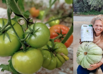 fertilizante natural vermis