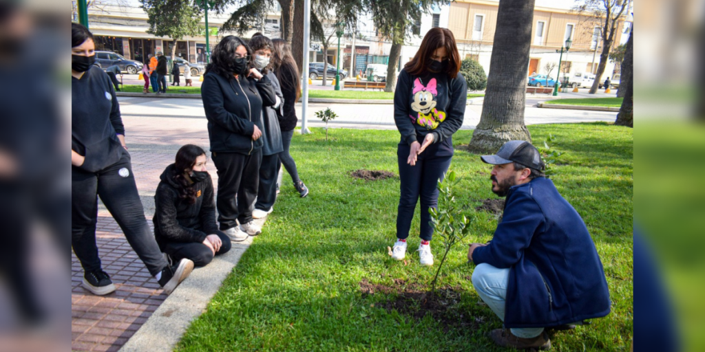 Escolares plantan árboles nativos en la Plaza de Armas de Quillota