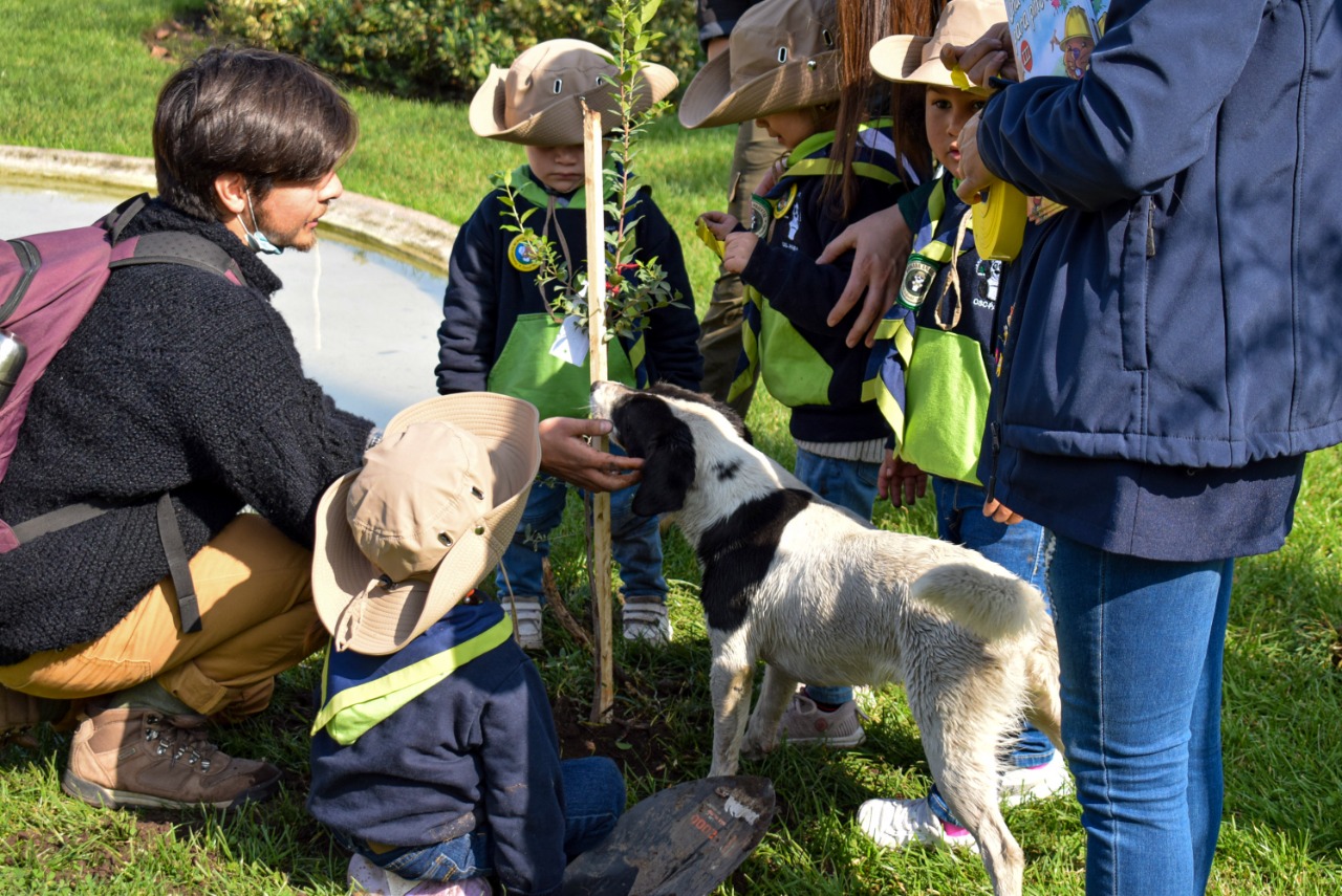 Escolares plantan árboles nativos en la Plaza de Armas de Quillota