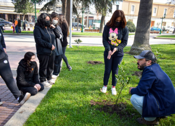 Escolares plantan árboles nativos en la Plaza de Armas de Quillota