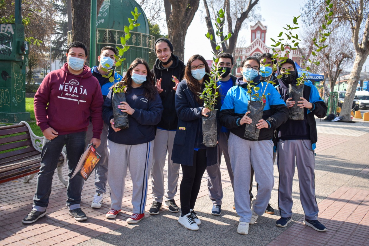 Escolares plantan árboles nativos en la Plaza de Armas de Quillota