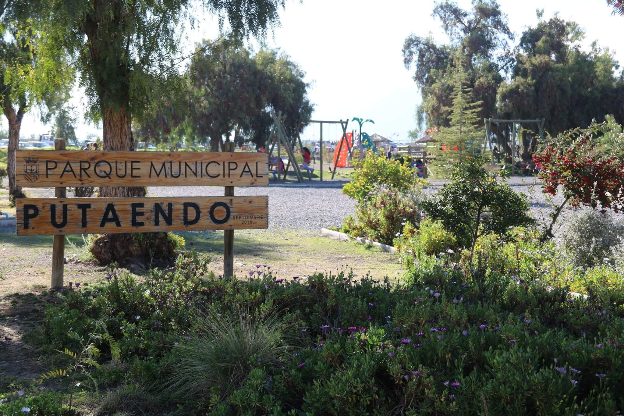 Gran exposición de autos clásicos llegará al Parque Municipal de Putaendo
