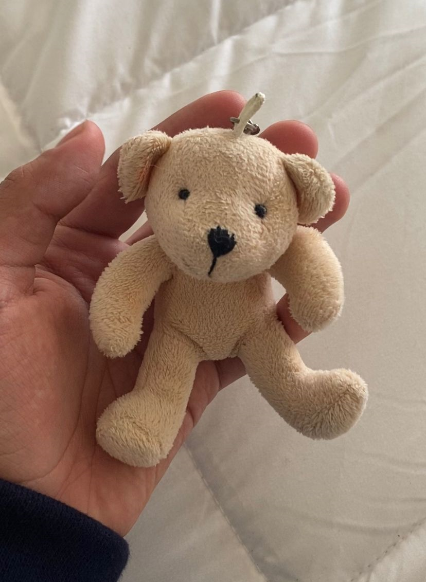 Osito de peluche obtenido por Vicente Rojas, joven de Quillota Vicente Rojas, joven de Quillota que inició una campaña viral de trueques que partió con un clip con la meta de obtener una casa. 