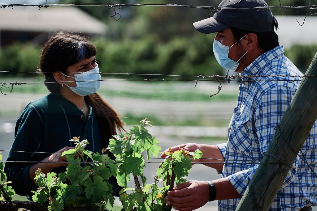 carreras técnicas en Quillota