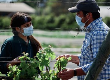 carreras técnicas en Quillota
