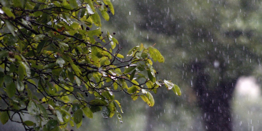 Anuncian lluvias esta semana en la Región de Valparaíso