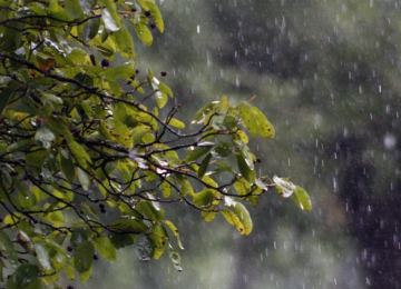 Anuncian lluvias esta semana en la Región de Valparaíso