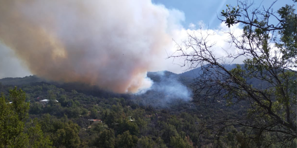 Cierran el tránsito por la Cuesta La Dormida en Olmué por incendio forestal